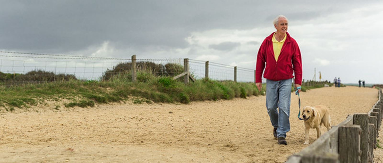 Dog walking at Lepe, Hampshire